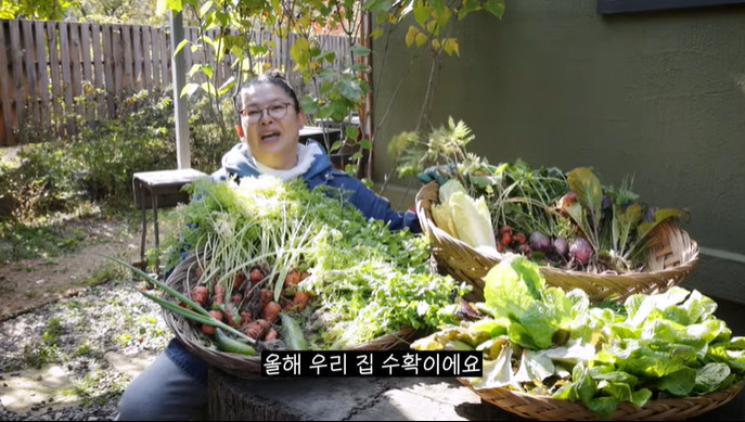 Lee Young-ja, after living in the countryside for the first time in a year and a half, farming became a big hit. Pick your money only with peppers