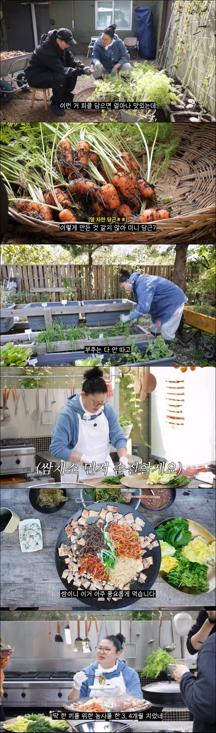 Lee Young-ja, after living in the countryside for the first time in a year and a half, farming became a big hit. Pick your money only with peppers