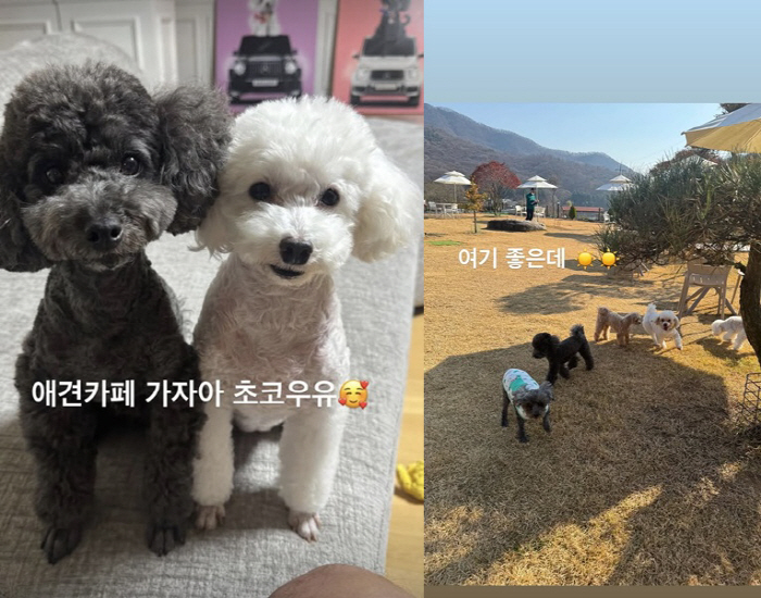 Divorce Hwang Jae-gyun smiled brightly with his child in his arms..a warm weekend routine