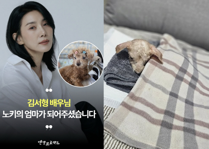 Kim Seo-hyung, even with the sad news..The old dog in the hospice. Let's spend the rest of our time together