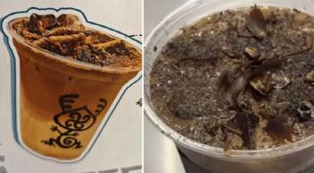 Cockroach Coffee Launched, 9,000 won per cup...How will it taste?