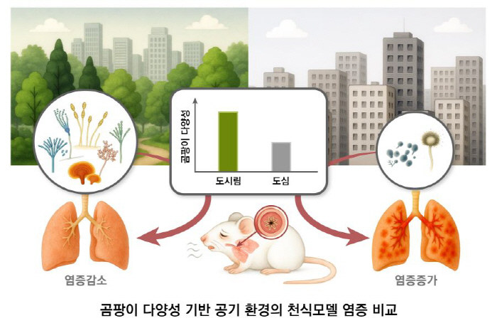 Half of asthma patients in many autonomous districts in Seoul's downtown park...Forest Fungal Air Vaccine Role
