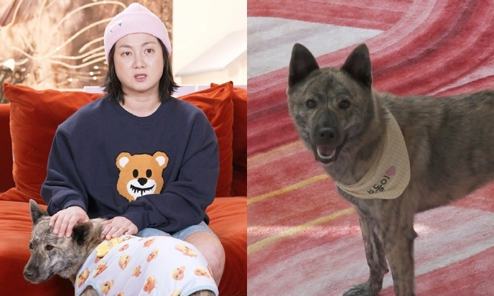Park Na-rae adopted Jindo dogs raised by her late grandparents..5.5 billion houses have been completely changed (Na Hon San)