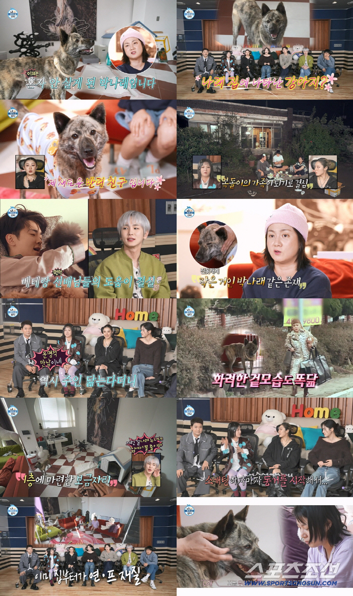 40 year old single Na-rae Park finally started living together...As soon as we went on a blind date, we moved in together