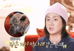 Park Narae started living together as soon as she went on a blind date.. Fate meeting with Bok-dol (Na Hon-san) who is younger than him