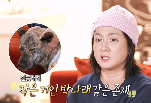 Park Narae started living together as soon as she went on a blind date.. Fate meeting with Bok-dol (Na Hon-san) who is younger than him