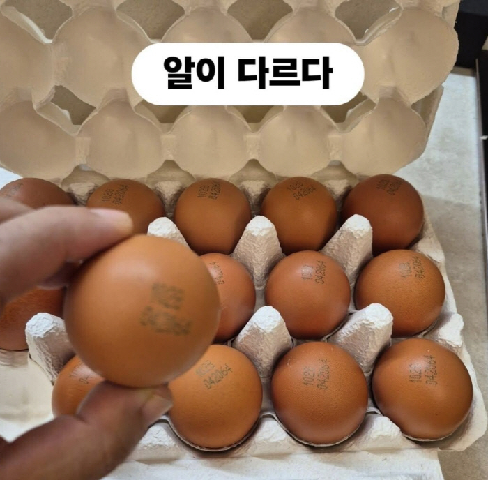 Cho Hye-ryeon and Lee Kyung-sil are promoting the play following the egg controversy...Is it loyalty or too much