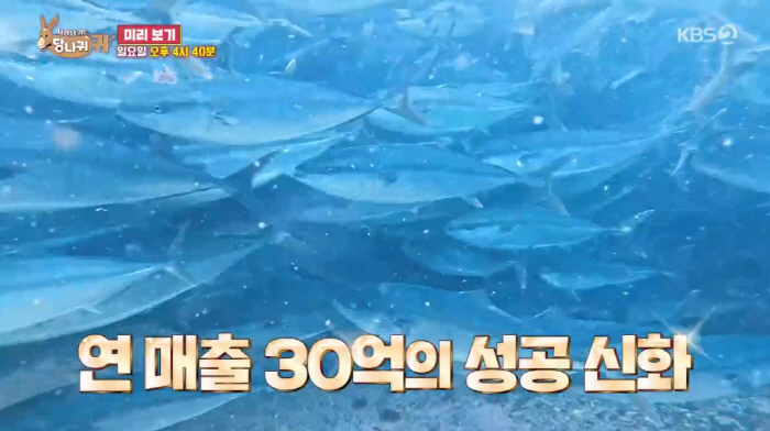 Yang Jun-hyuk's annual sales of 3 billion won due to yellowtail is 3,000 pyeong (Sadanggui)