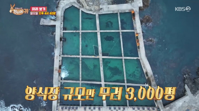 Yang Jun-hyuk's annual sales of 3 billion won due to yellowtail is 3,000 pyeong (Sadanggui)
