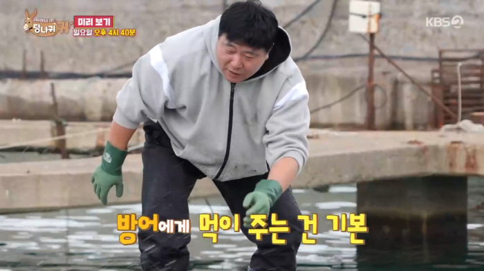 Yang Jun-hyuk's annual sales of 3 billion won due to yellowtail is 3,000 pyeong (Sadanggui)
