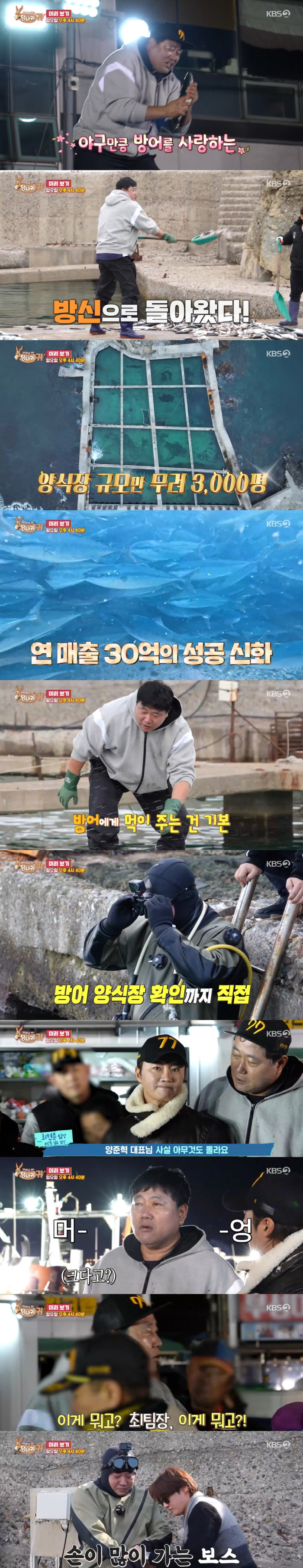 Yang Jun-hyuk's annual sales of 3 billion won due to yellowtail is 3,000 pyeong (Sadanggui)