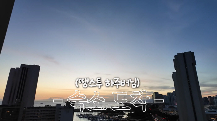 Hwang Bo-ra reveals 100 billion-year-old Jungwoo Ha's Hawaii restaurant for the first time...If you come here, it's 0 won