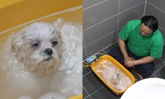 Sung Wonhwan and Kkotbun will say goodbye soon. (Na Hon-san)