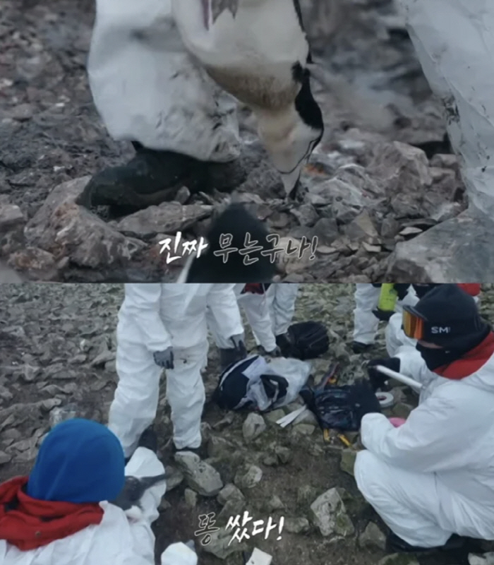 The 'Chef of the Antarctic' opened his mouth to controversy over penguin abuse...'Research staff, not cast' 