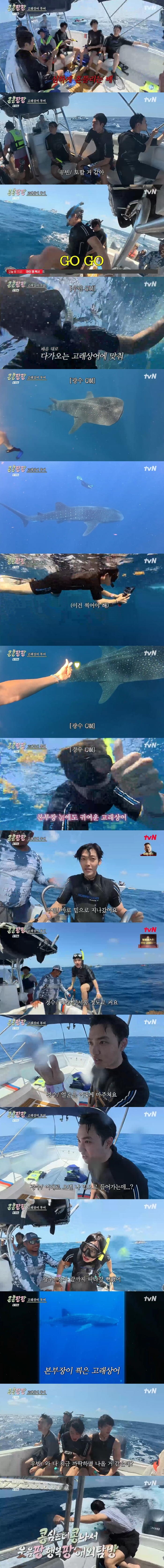 Lee Kwang-soo, Kim Woo-bin and Doh Kyung-soo Brave Rough Seas to Meet Whale Shark