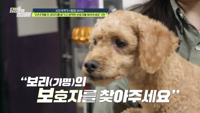 Frequent buying of alcohol and cigarettes vs being diagnosed with cancer and undergoing chemotherapy...Reasons for neglecting dogs → Shock investigation results (Tambi)