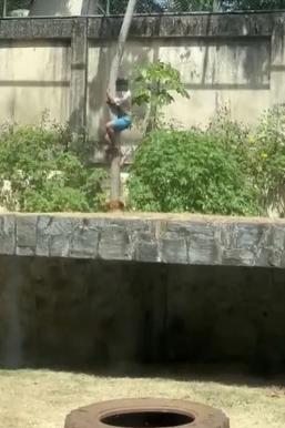 A 19-year-old man who entered a lion cage, eventually devastated...He's obsessed with lions