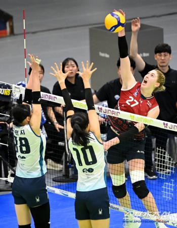  Hyundai Engineering & Construction Carly's Spike