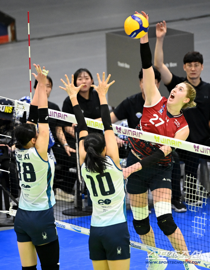  Hyundai Engineering & Construction Carly's Spike