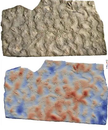 A stepping stone that has been stepped on for decades, turns out to be a fossil of dinosaur footprints 190 million years ago