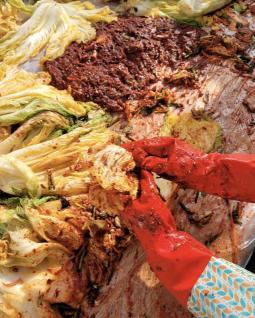 Food poisoning infection during kimjang? To reduce the risk of pickled cabbage E. coli...