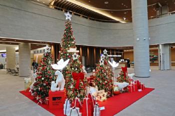 Wishing the patient well... Soonchunhyang University Cheonan Hospital, Christmas Tree Installation