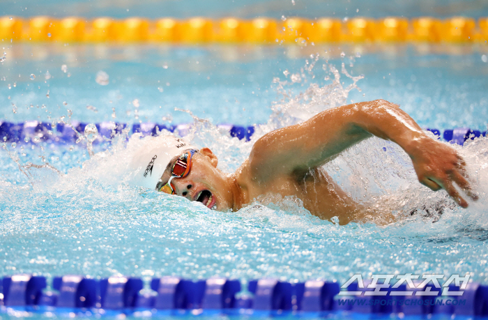 Kim Jae-hoon, who won six swimming medals in the Paralympic Games, did it! The first day of Dubai Disabled Youth AG! The National Sports Festival's loss support is 0.1 second!